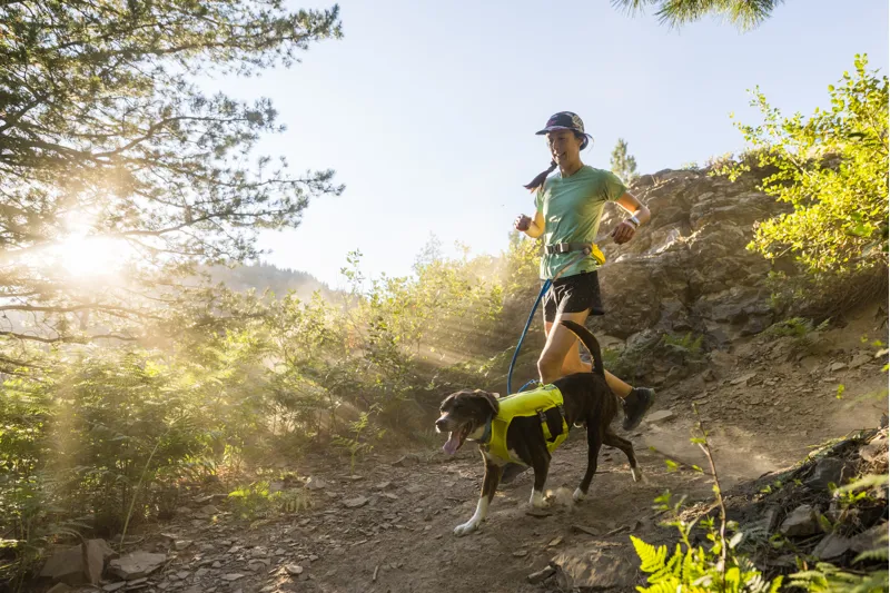 Ruffwear Trail Runner Running Belt Lichen Green-5